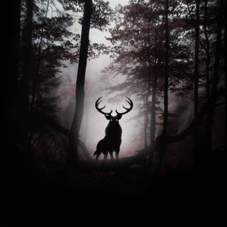 Deer in forest wallpaper