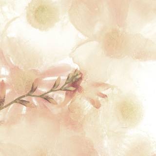 Beige flowers wallpaper