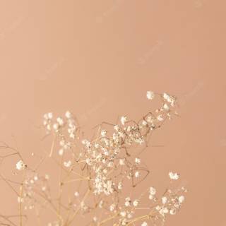 Beige flowers wallpaper