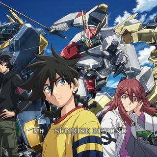 AMAIM Warrior at the Borderline wallpaper