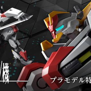 AMAIM Warrior at the Borderline wallpaper