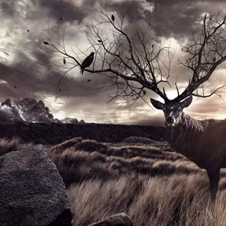 Dark deer wallpaper