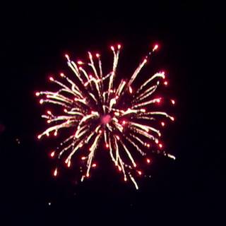 Firework crackle wallpaper