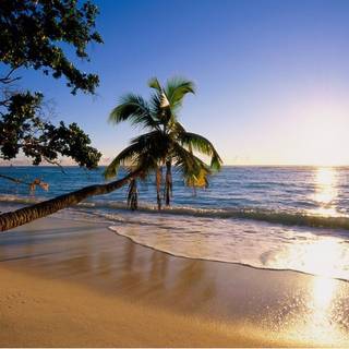 Spring beach laptop wallpaper