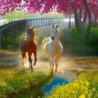 Springtime horses wallpaper