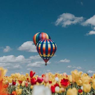 Spring balloon wallpaper