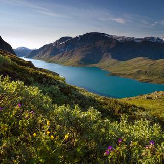 Norway springtime wallpaper