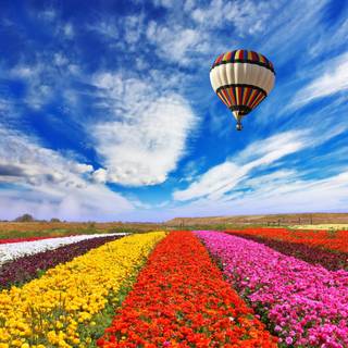 Spring balloon wallpaper