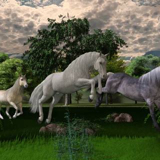 Springtime horses wallpaper