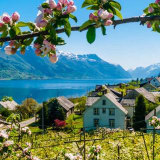 Norway springtime wallpaper
