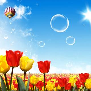 Spring balloon wallpaper