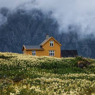 Norway springtime wallpaper
