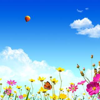 Spring balloon wallpaper