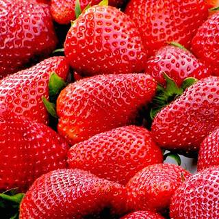 Summer strawberry wallpaper