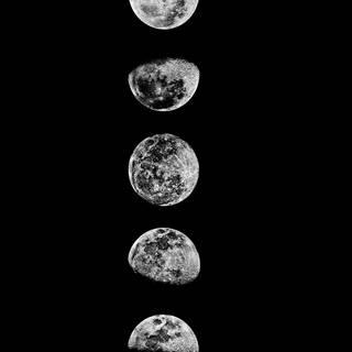 Lunar phase wallpaper