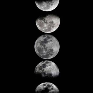 Lunar phase wallpaper