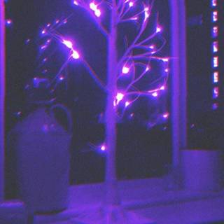 Purple emo wallpaper