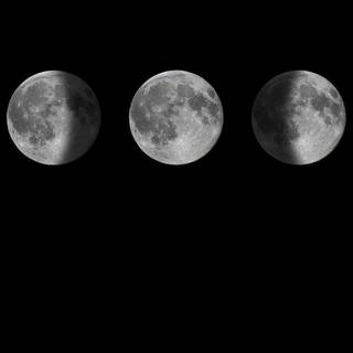 Lunar phase wallpaper