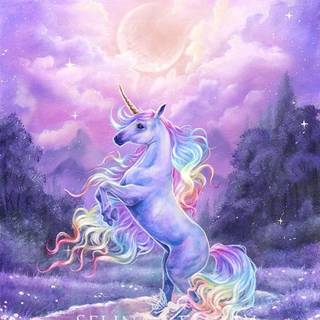 Pretty horse wallpaper