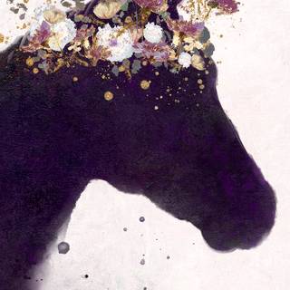 Pretty horse wallpaper