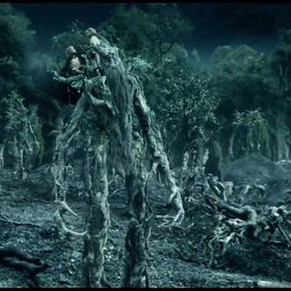 Treebeard wallpaper