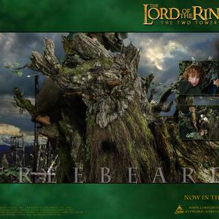 Treebeard wallpaper