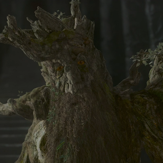 Treebeard wallpaper