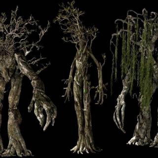 Treebeard wallpaper
