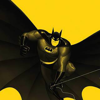 iPhone 12 Pro Max DC wallpaper