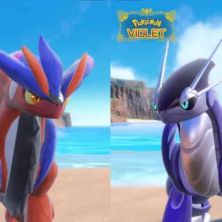 Pokémon Paldea wallpaper