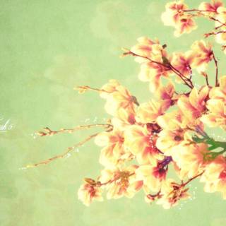 Springtime art wallpaper