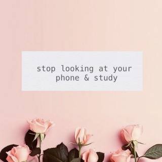 Study spring wallpaper