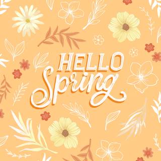 Orange hello spring wallpaper