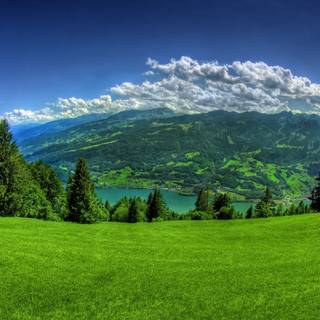 Springtime iPad wallpaper