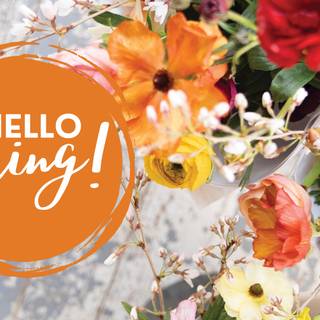 Orange hello spring wallpaper