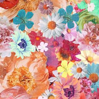 Cute orange spring wallpaper