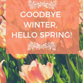 Orange hello spring wallpaper