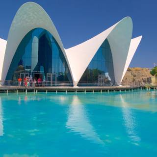 Valencia 2023 wallpaper