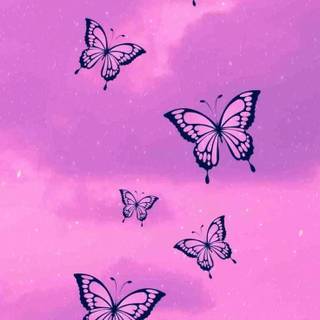 Summer butterfly wallpaper