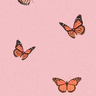 Summer butterfly wallpaper