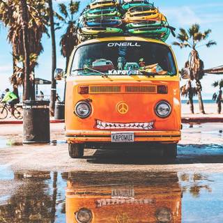 Summer iPhone 8 Plus wallpaper