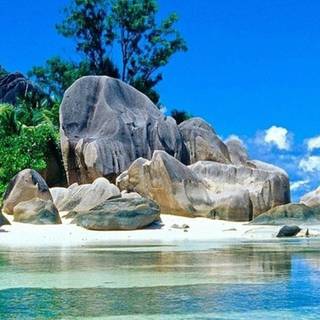 Summer iPhone 8 Plus wallpaper