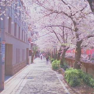 Seoul 2023 wallpaper