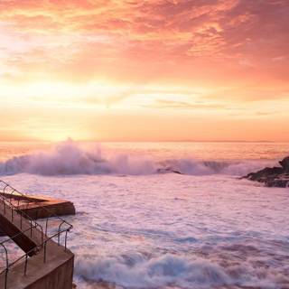 Summer iPhone 8 Plus wallpaper