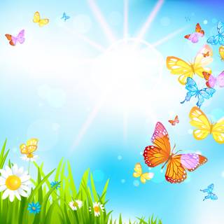 Summer butterfly wallpaper