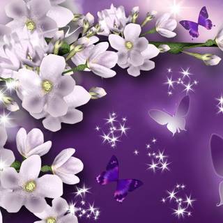 Summer butterfly wallpaper