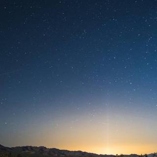 Summer iPhone 8 Plus wallpaper