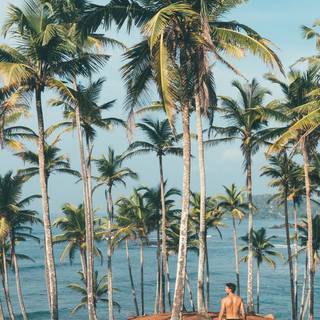 Summer iPhone 8 Plus wallpaper