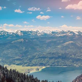 Summer iPhone 8 Plus wallpaper