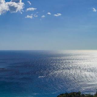 Summer iPhone 8 Plus wallpaper